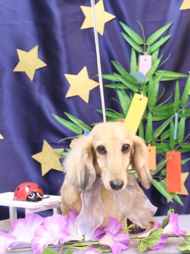 20230713そらくん